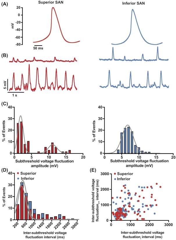 https://cdn.ncbi.nlm.nih.gov/pmc/blobs/8ce9/8788841/fad73bd1754f/zqab031fig3.jpg