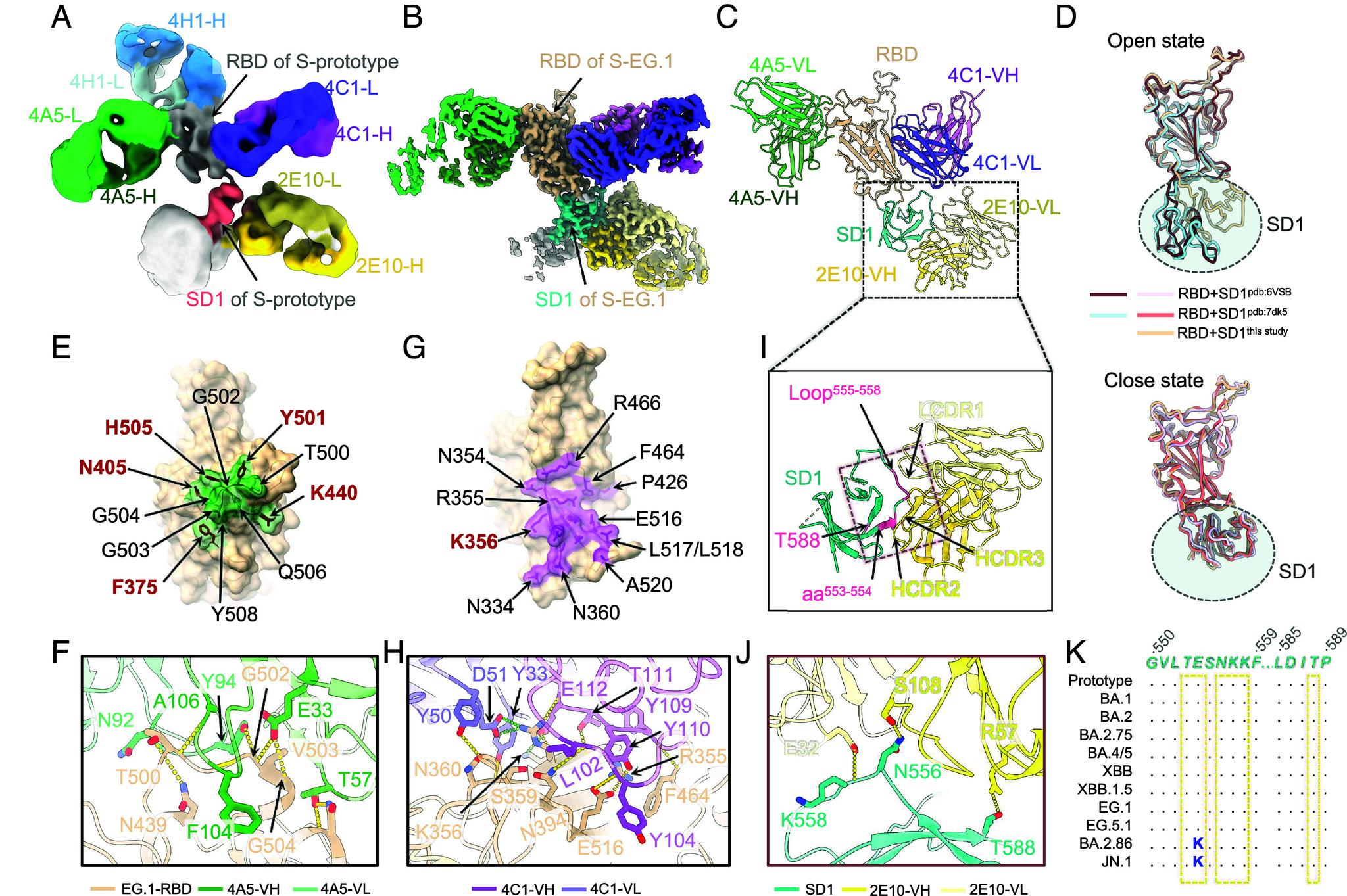 https://cdn.ncbi.nlm.nih.gov/pmc/blobs/8cf7/12415226/23343779a815/pnas.2503254122fig04.jpg