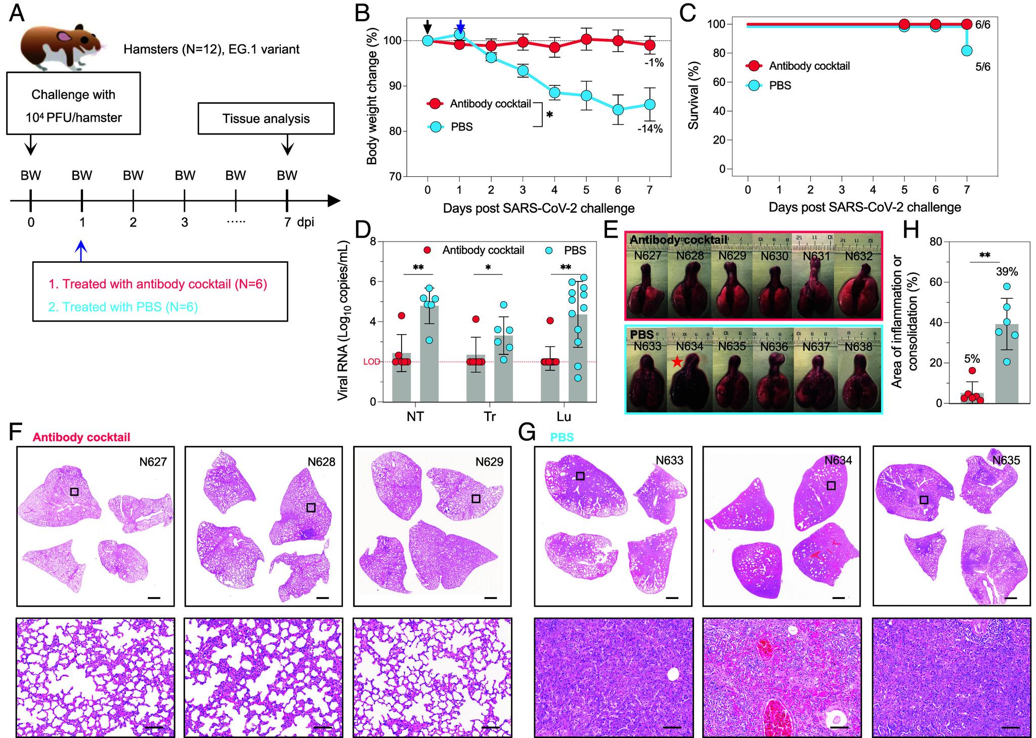 https://cdn.ncbi.nlm.nih.gov/pmc/blobs/8cf7/12415226/52988c9eef8f/pnas.2503254122fig05.jpg