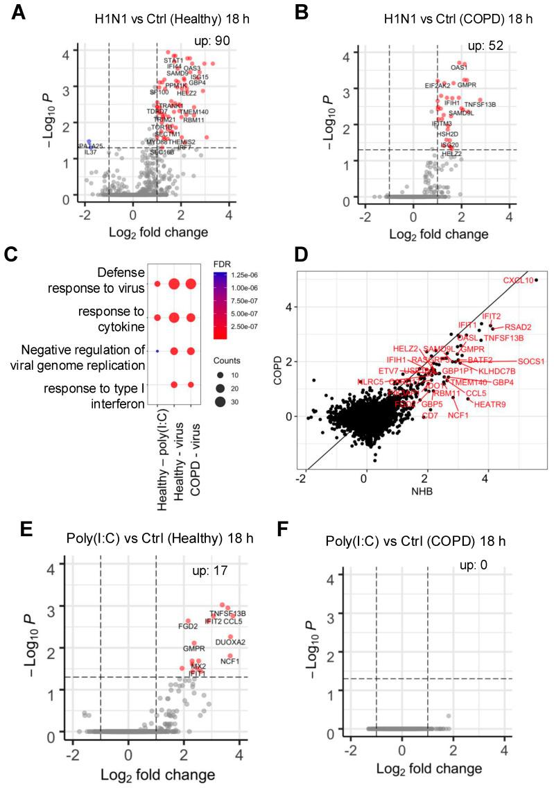 https://cdn.ncbi.nlm.nih.gov/pmc/blobs/8d0c/11941970/8ab4129ee473/ijms-26-02549-g005.jpg