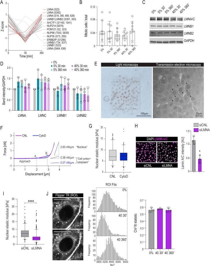 https://cdn.ncbi.nlm.nih.gov/pmc/blobs/8d1d/7237863/0b281cef72a4/figs3.jpg