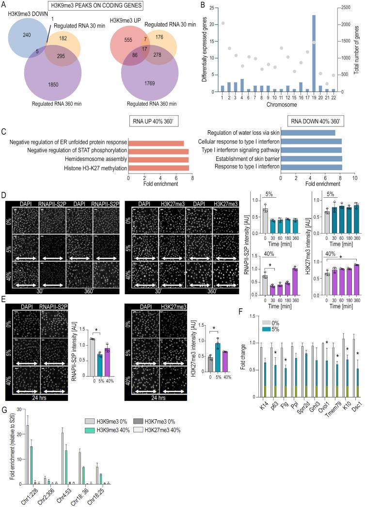 https://cdn.ncbi.nlm.nih.gov/pmc/blobs/8d1d/7237863/2b30d3044470/figs2.jpg