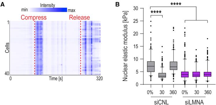 https://cdn.ncbi.nlm.nih.gov/pmc/blobs/8d1d/7237863/72ec2a866b88/figs6.jpg
