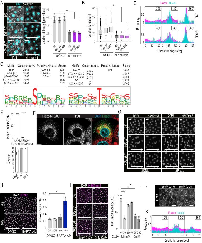 https://cdn.ncbi.nlm.nih.gov/pmc/blobs/8d1d/7237863/fe1704e70a07/figs5.jpg