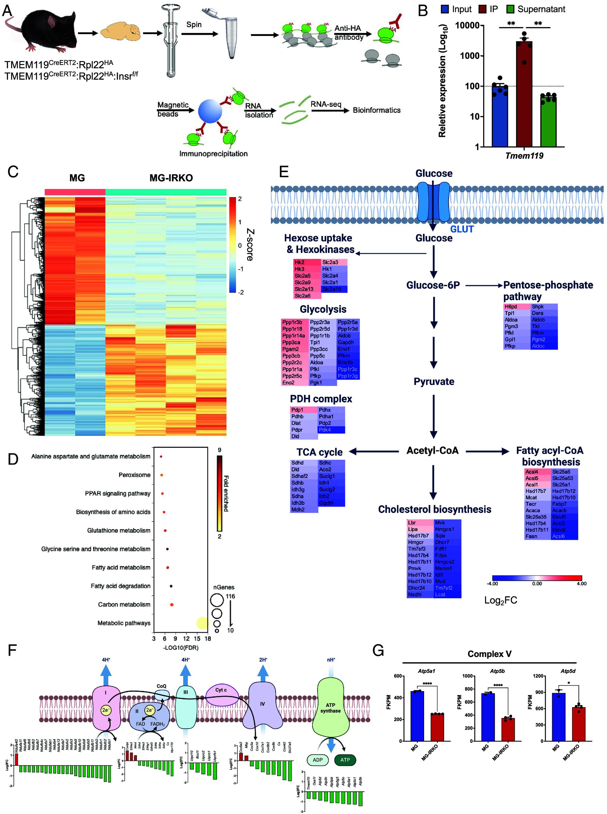 https://cdn.ncbi.nlm.nih.gov/pmc/blobs/8d20/12130885/2224cafba678/pnas.2501527122fig02.jpg