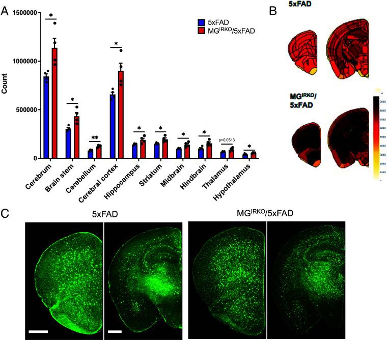 https://cdn.ncbi.nlm.nih.gov/pmc/blobs/8d20/12130885/6b0671133f1e/pnas.2501527122fig05.jpg