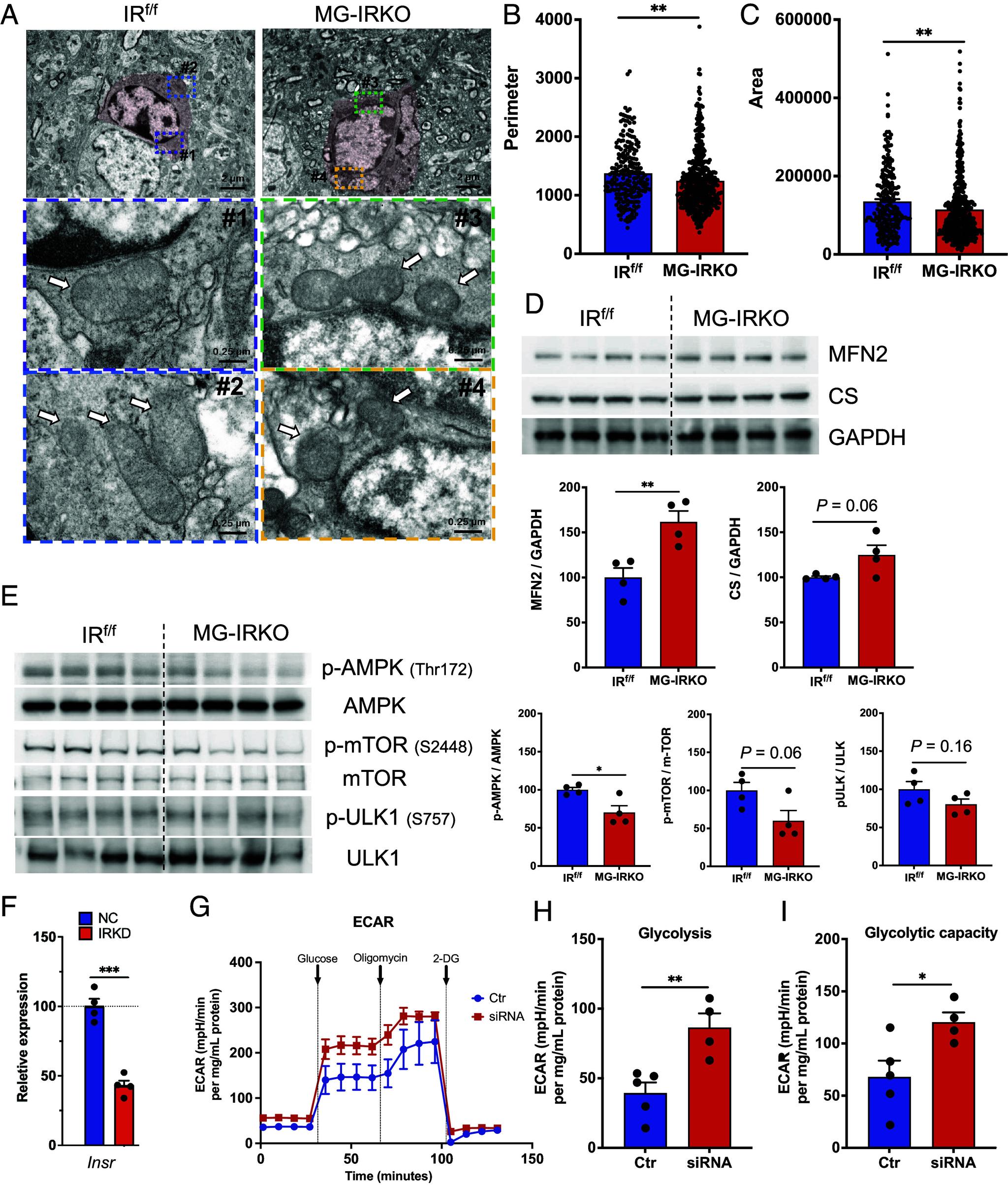 https://cdn.ncbi.nlm.nih.gov/pmc/blobs/8d20/12130885/d29ed6068b3b/pnas.2501527122fig04.jpg