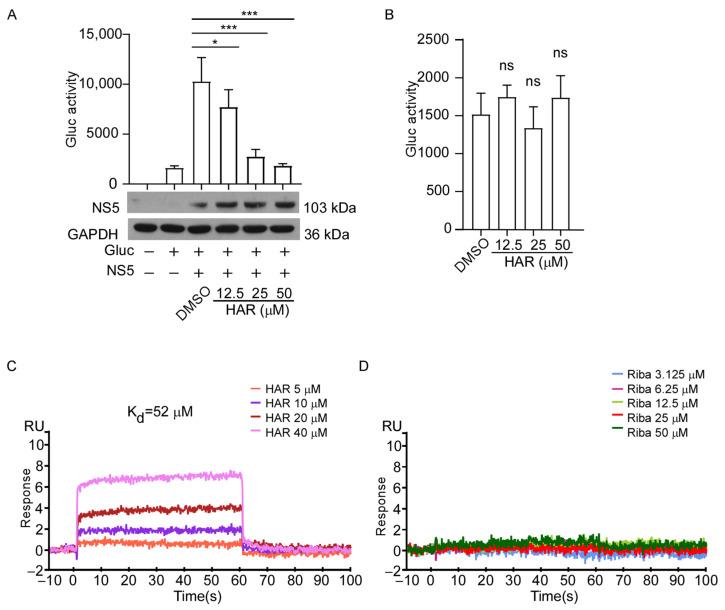 https://cdn.ncbi.nlm.nih.gov/pmc/blobs/8d40/10934704/5b777266f441/molecules-29-00978-g005.jpg