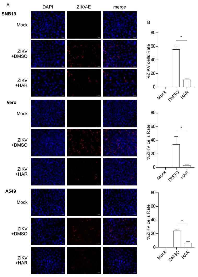 https://cdn.ncbi.nlm.nih.gov/pmc/blobs/8d40/10934704/9192d8e05bbb/molecules-29-00978-g004.jpg