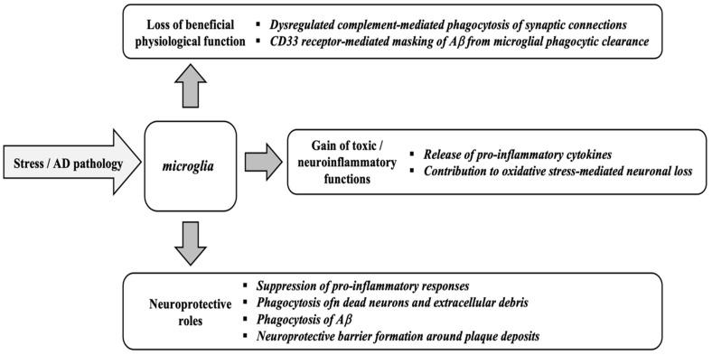 https://cdn.ncbi.nlm.nih.gov/pmc/blobs/8d4f/12292394/c72cddb1a9a6/antioxidants-14-00854-g002.jpg