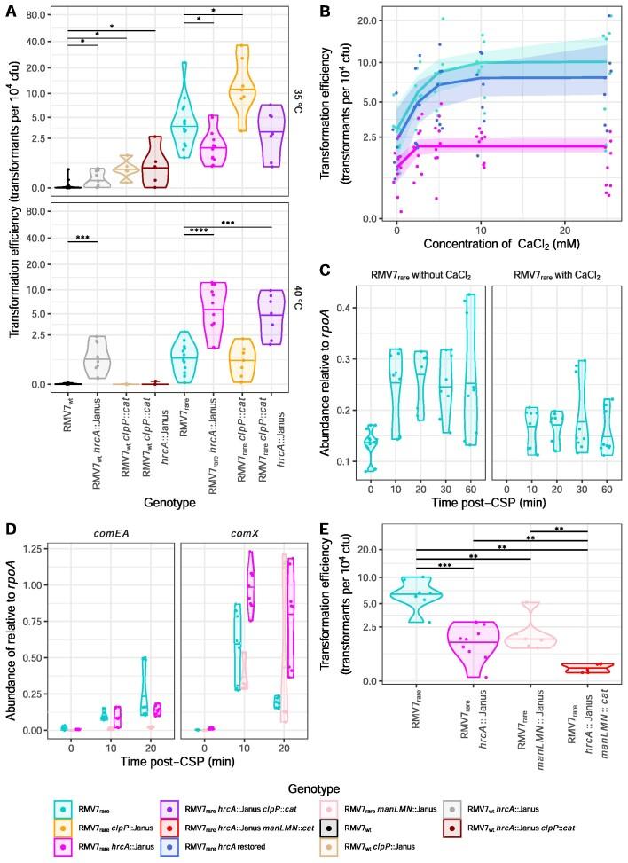 https://cdn.ncbi.nlm.nih.gov/pmc/blobs/8d5e/10602874/0a58d34ca3e4/gkad760fig5.jpg
