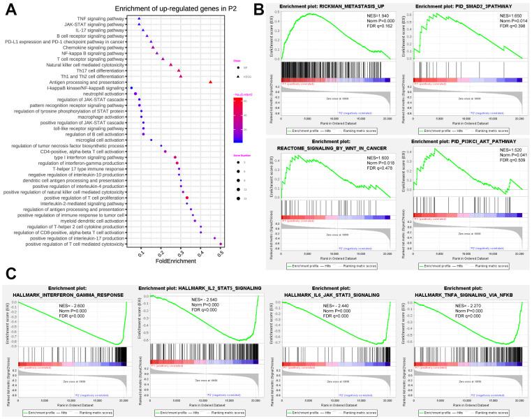 https://cdn.ncbi.nlm.nih.gov/pmc/blobs/8d5e/8202842/c984cdb6ecb2/aging-13-103735-g004.jpg