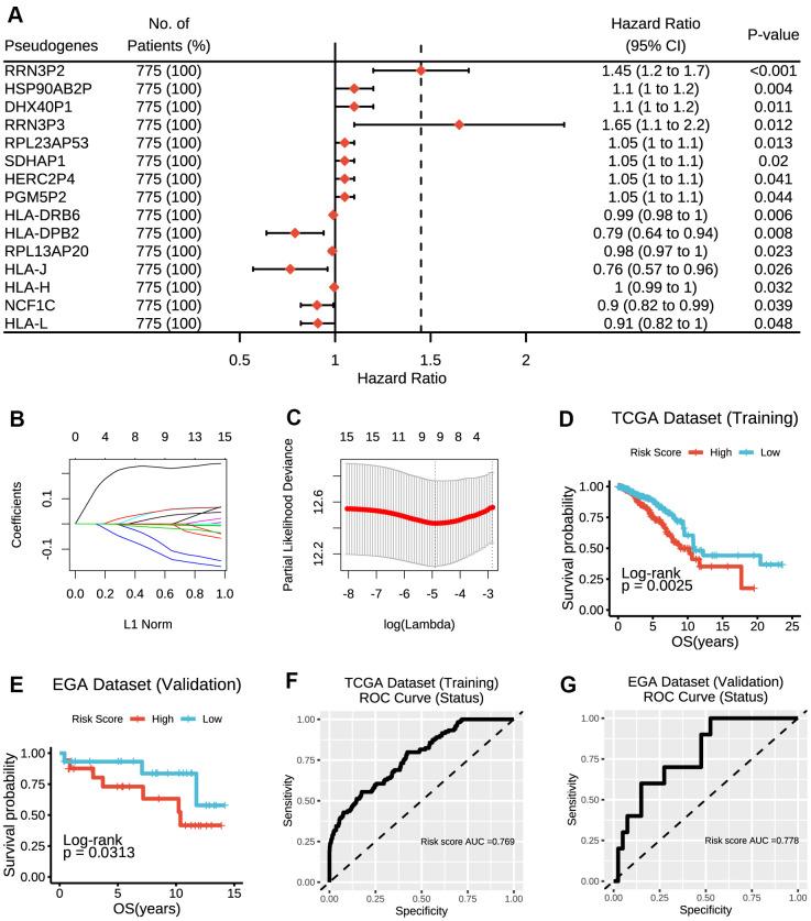 https://cdn.ncbi.nlm.nih.gov/pmc/blobs/8d5e/8202842/d22a5e11526c/aging-13-103735-g001.jpg