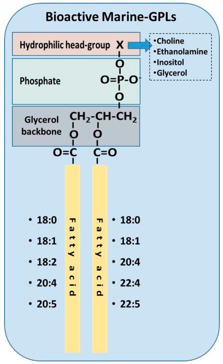 https://cdn.ncbi.nlm.nih.gov/pmc/blobs/8d93/6150200/13ec349e16b4/molecules-22-01964-g003.jpg