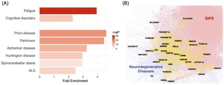 https://cdn.ncbi.nlm.nih.gov/pmc/blobs/8d9c/11847890/cf2fb3b3a02d/fnhum-19-1509346-g002.jpg