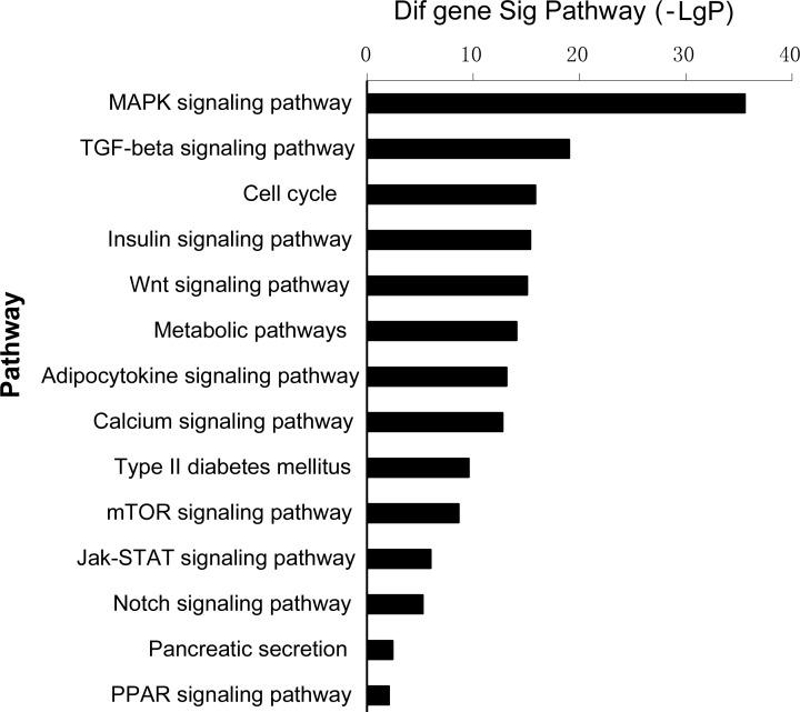 https://cdn.ncbi.nlm.nih.gov/pmc/blobs/8da0/5130048/4b9a27ddea34/oncotarget-07-40830-g005.jpg