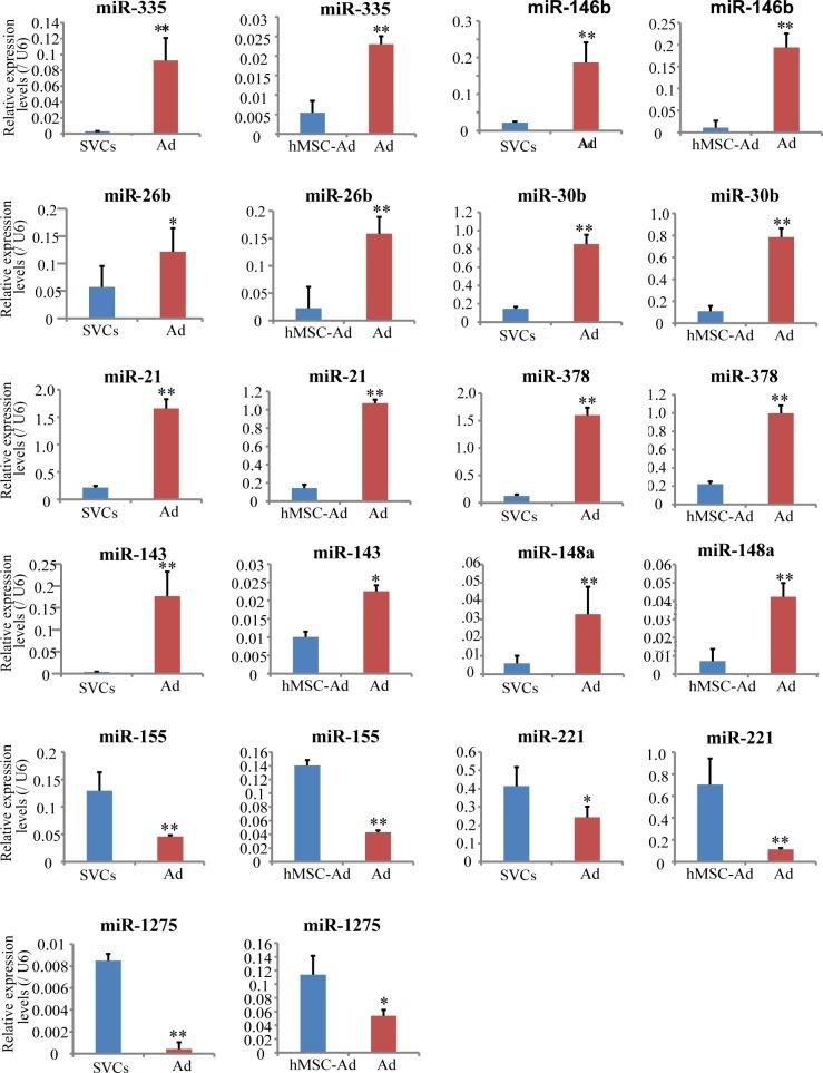 https://cdn.ncbi.nlm.nih.gov/pmc/blobs/8da0/5130048/e8a2226946d5/oncotarget-07-40830-g002.jpg