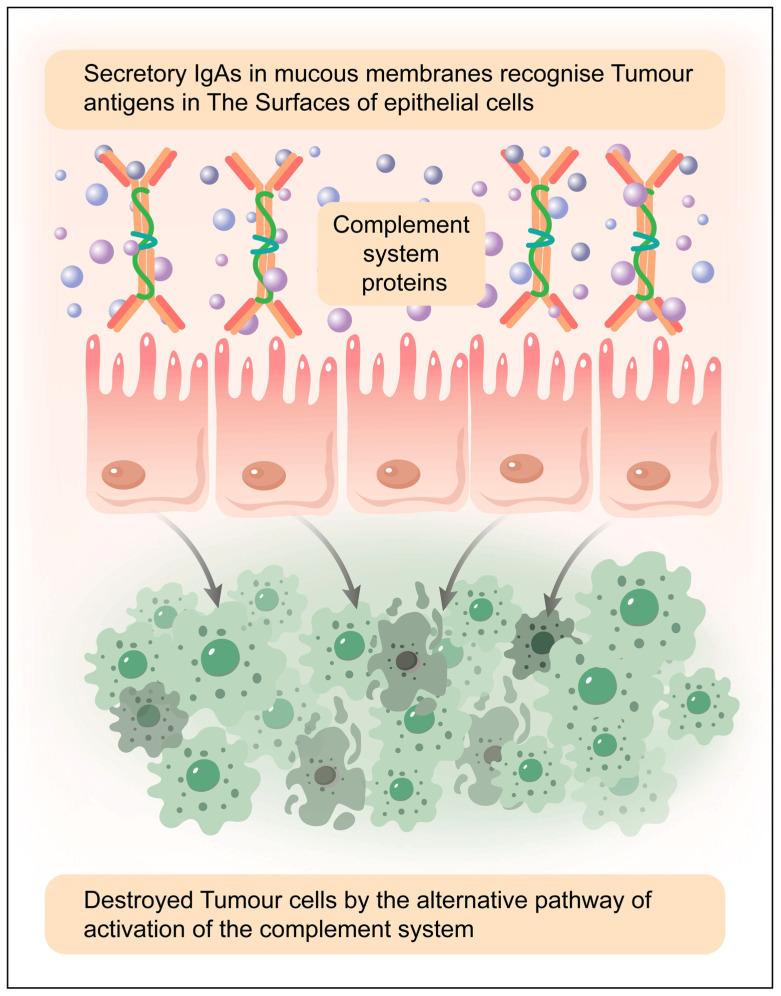 https://cdn.ncbi.nlm.nih.gov/pmc/blobs/8dd1/12015915/f3794f777140/antibodies-14-00035-g006.jpg