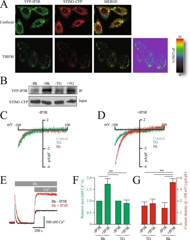 https://cdn.ncbi.nlm.nih.gov/pmc/blobs/8dd5/6125598/5f72d0ab8eaa/41598_2018_31621_Fig2_HTML.jpg
