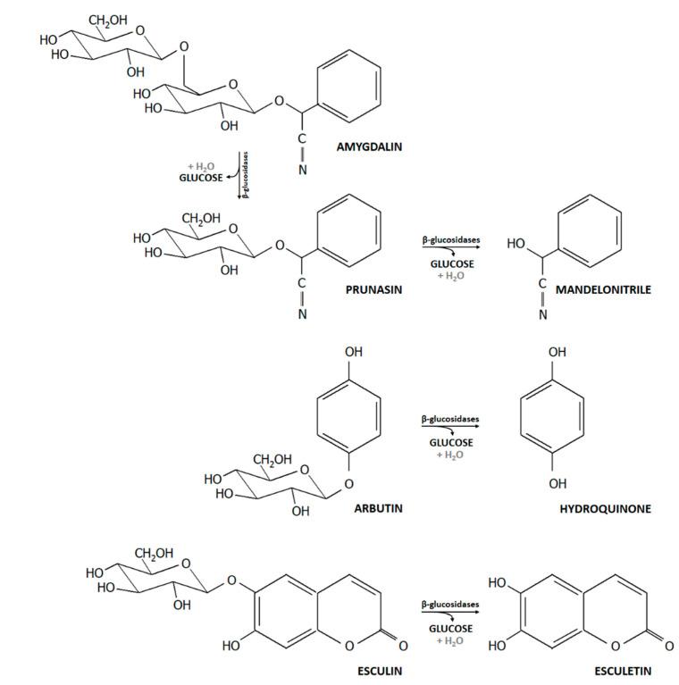 https://cdn.ncbi.nlm.nih.gov/pmc/blobs/8ddf/7355683/f7d9d51e178f/microorganisms-08-00839-g001.jpg