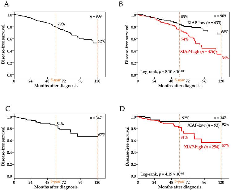 https://cdn.ncbi.nlm.nih.gov/pmc/blobs/8de3/8200223/54d5087f80d0/cancers-13-02807-g002.jpg