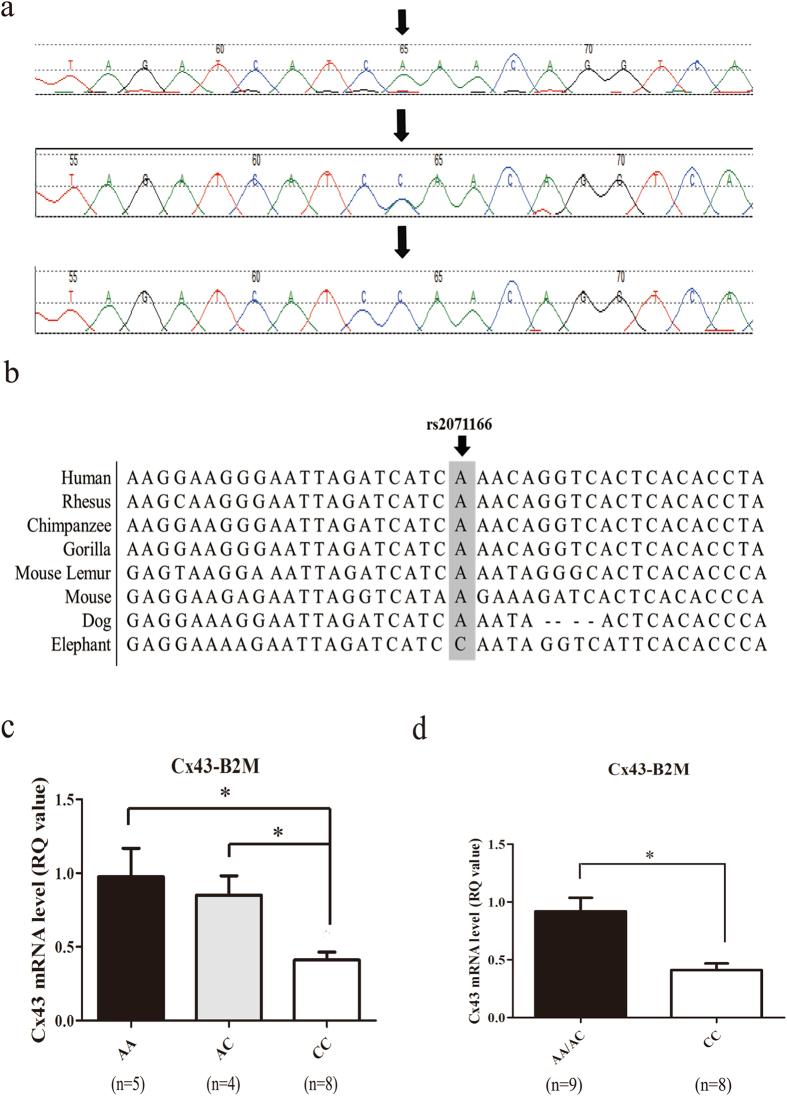 https://cdn.ncbi.nlm.nih.gov/pmc/blobs/8df6/5585261/0af4cbbb9bc3/41598_2017_10756_Fig2_HTML.jpg