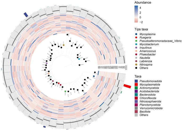 https://cdn.ncbi.nlm.nih.gov/pmc/blobs/8e38/12029949/20ff9516f07e/microorganisms-13-00882-g001.jpg