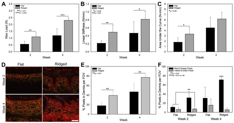 https://cdn.ncbi.nlm.nih.gov/pmc/blobs/8e3c/10376754/90a64dc3da84/bioengineering-10-00861-g005.jpg