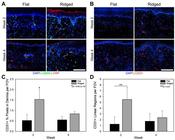 https://cdn.ncbi.nlm.nih.gov/pmc/blobs/8e3c/10376754/a76e9810c848/bioengineering-10-00861-g006.jpg