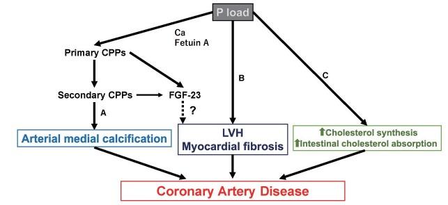 https://cdn.ncbi.nlm.nih.gov/pmc/blobs/8e45/10776333/4223e782d597/31_RV22012_3.jpg