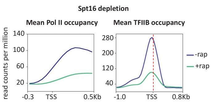 https://cdn.ncbi.nlm.nih.gov/pmc/blobs/8e53/6366898/0207301271be/elife-43654-fig6.jpg