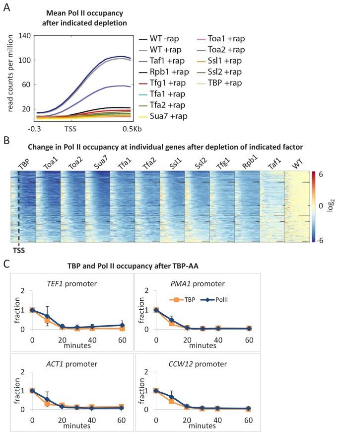 https://cdn.ncbi.nlm.nih.gov/pmc/blobs/8e53/6366898/2c59f09aea58/elife-43654-fig2.jpg