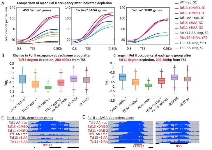 https://cdn.ncbi.nlm.nih.gov/pmc/blobs/8e53/6366898/2f0f6ba9ab56/elife-43654-fig7-figsupp2.jpg