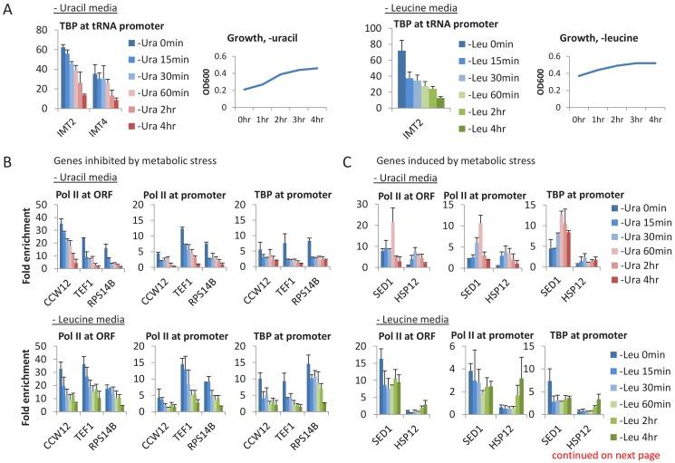 https://cdn.ncbi.nlm.nih.gov/pmc/blobs/8e53/6366898/4cec0fab4f59/elife-43654-fig5-figsupp1.jpg
