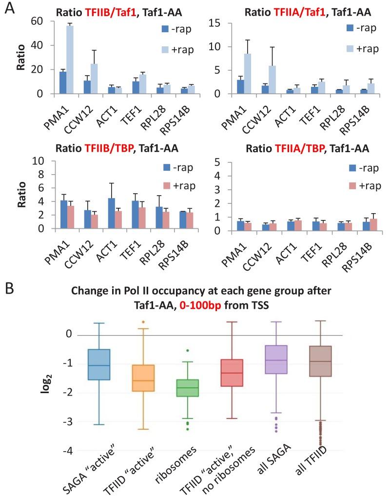 https://cdn.ncbi.nlm.nih.gov/pmc/blobs/8e53/6366898/54f898dc52b3/elife-43654-fig7-figsupp1.jpg