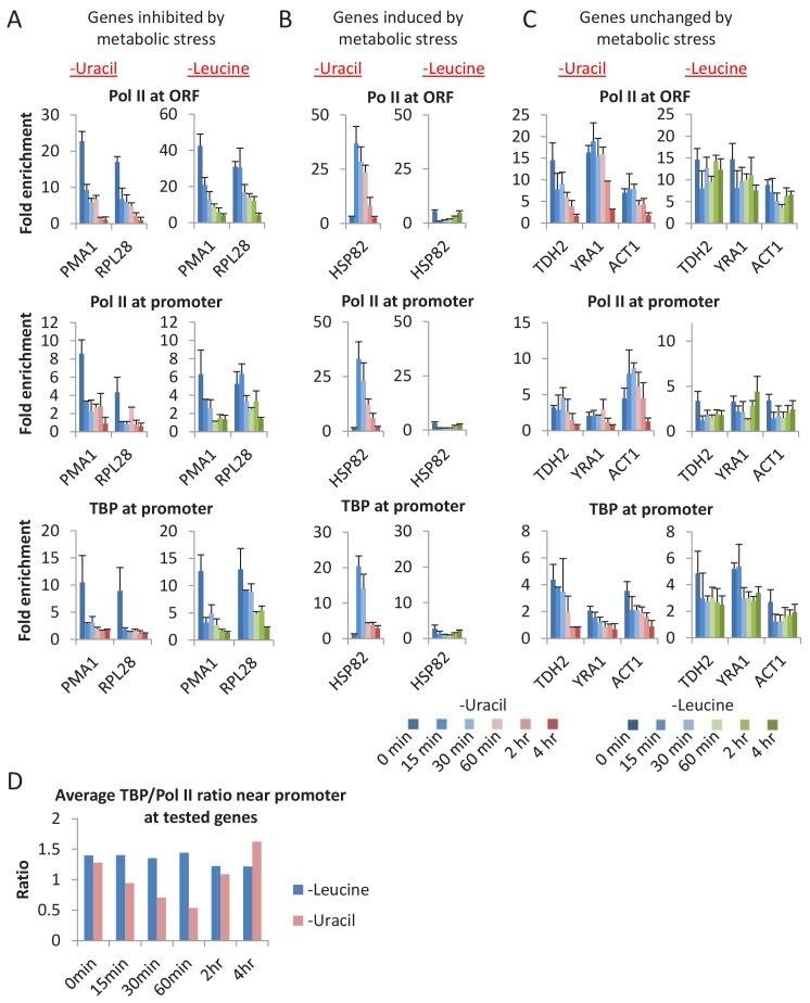 https://cdn.ncbi.nlm.nih.gov/pmc/blobs/8e53/6366898/daae4cb8b3f7/elife-43654-fig5.jpg