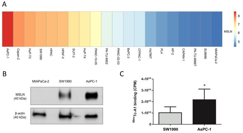 https://cdn.ncbi.nlm.nih.gov/pmc/blobs/8e5f/6827014/6262b37eb887/cancers-11-01531-g002.jpg
