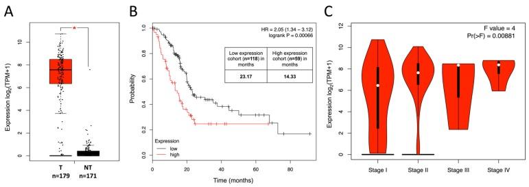 https://cdn.ncbi.nlm.nih.gov/pmc/blobs/8e5f/6827014/e23ab9f1d692/cancers-11-01531-g001.jpg