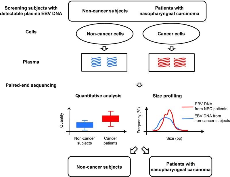 https://cdn.ncbi.nlm.nih.gov/pmc/blobs/8e7b/5984543/86fe5415bec0/pnas.1804184115fig01.jpg