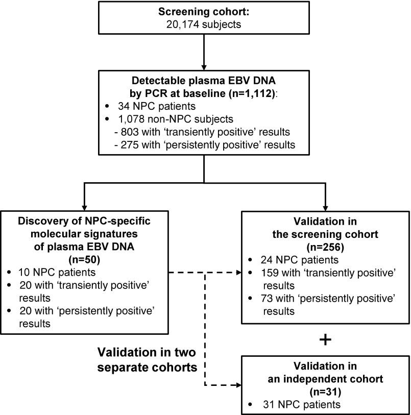 https://cdn.ncbi.nlm.nih.gov/pmc/blobs/8e7b/5984543/bc75e582b33e/pnas.1804184115fig03.jpg