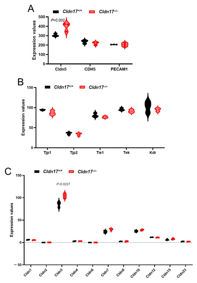 https://cdn.ncbi.nlm.nih.gov/pmc/blobs/8e98/12027279/f8da1526fa0a/ijms-26-03612-g008.jpg