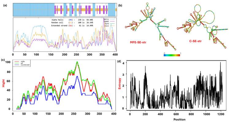 https://cdn.ncbi.nlm.nih.gov/pmc/blobs/8ea1/12190101/58d5a0fce102/biomedicines-13-01439-g002.jpg