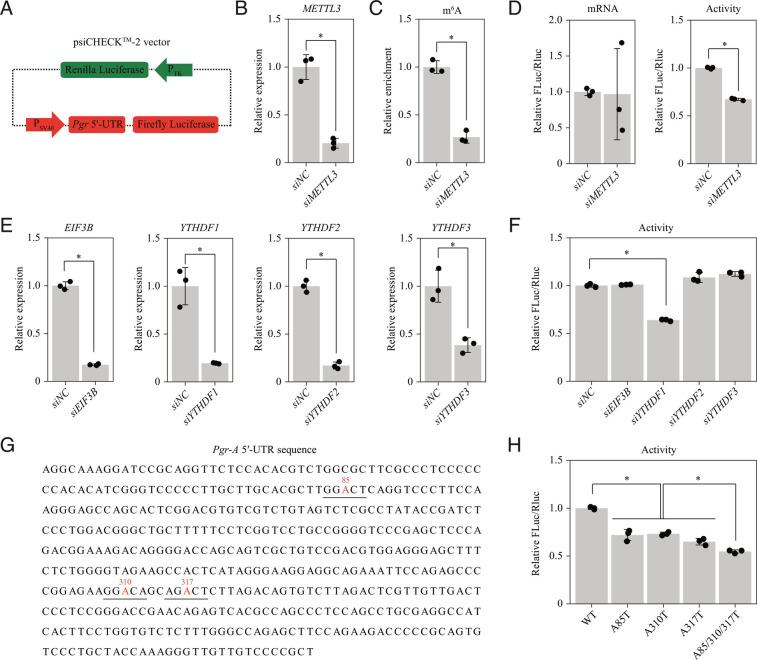 https://cdn.ncbi.nlm.nih.gov/pmc/blobs/8eaa/9945998/1640d27c0dd2/pnas.2214684120fig06.jpg