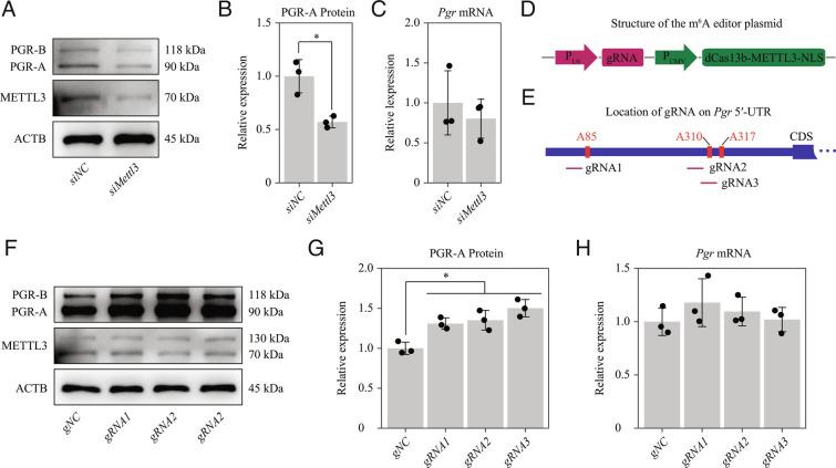 https://cdn.ncbi.nlm.nih.gov/pmc/blobs/8eaa/9945998/2378a52ccd6b/pnas.2214684120fig07.jpg