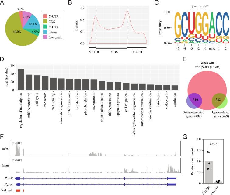 https://cdn.ncbi.nlm.nih.gov/pmc/blobs/8eaa/9945998/6e78f4f44dd2/pnas.2214684120fig05.jpg