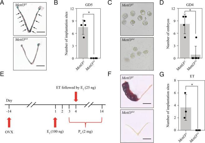 https://cdn.ncbi.nlm.nih.gov/pmc/blobs/8eaa/9945998/90a5b2984d2e/pnas.2214684120fig02.jpg