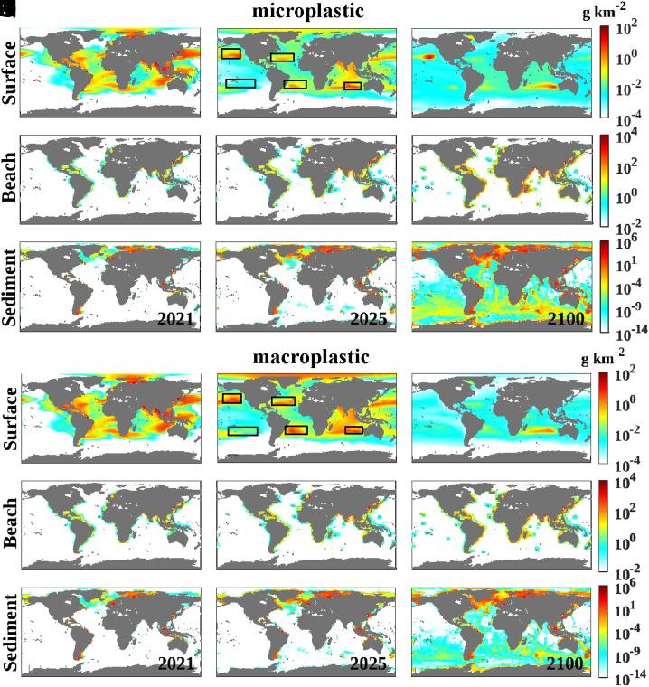 https://cdn.ncbi.nlm.nih.gov/pmc/blobs/8ead/8617455/ee468cd504ce/pnas.202111530fig04.jpg