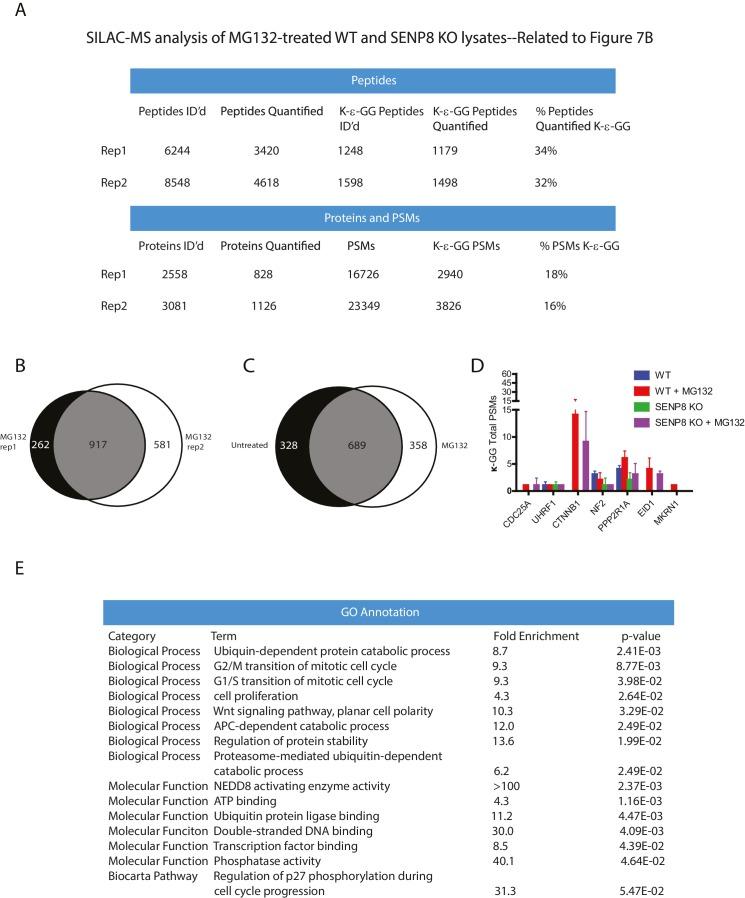 https://cdn.ncbi.nlm.nih.gov/pmc/blobs/8ec1/5419743/962395f1c069/elife-24325-fig7-figsupp1.jpg