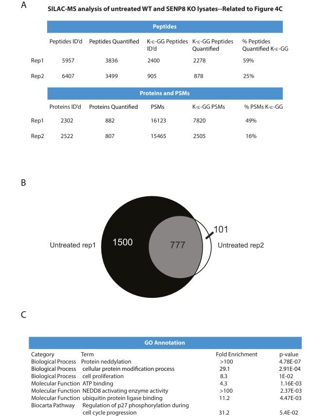 https://cdn.ncbi.nlm.nih.gov/pmc/blobs/8ec1/5419743/fda9c564ab7b/elife-24325-fig4-figsupp1.jpg