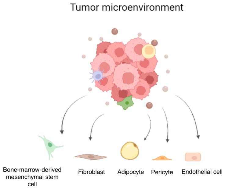 https://cdn.ncbi.nlm.nih.gov/pmc/blobs/8ec7/10000679/f3813279686f/cells-12-00802-g003.jpg